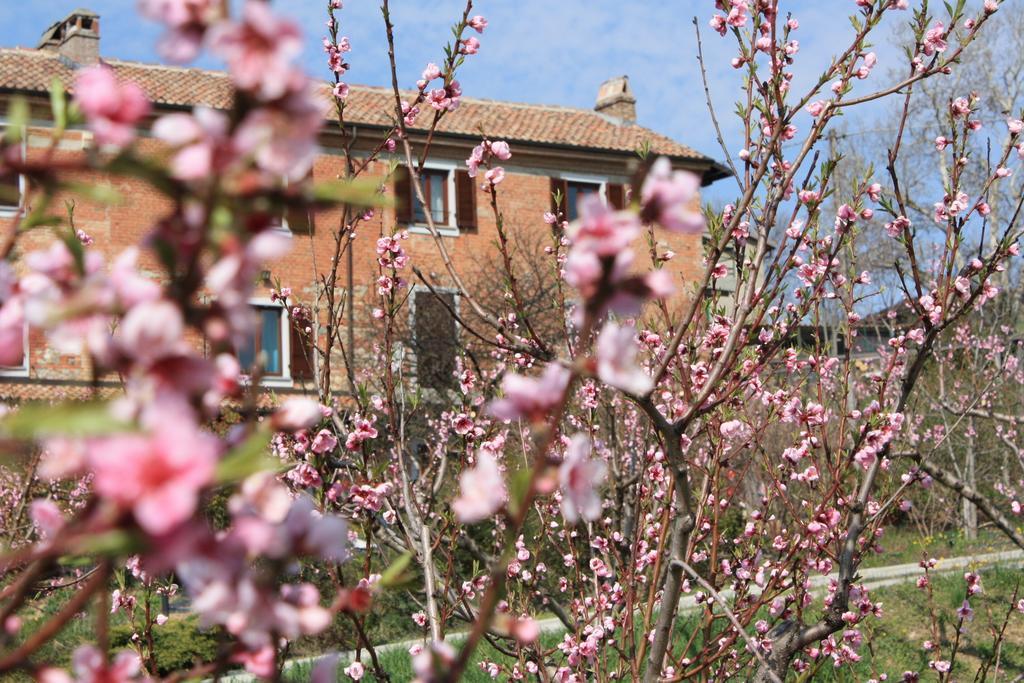 B&B Di Spineto Villaromagnano Екстериор снимка