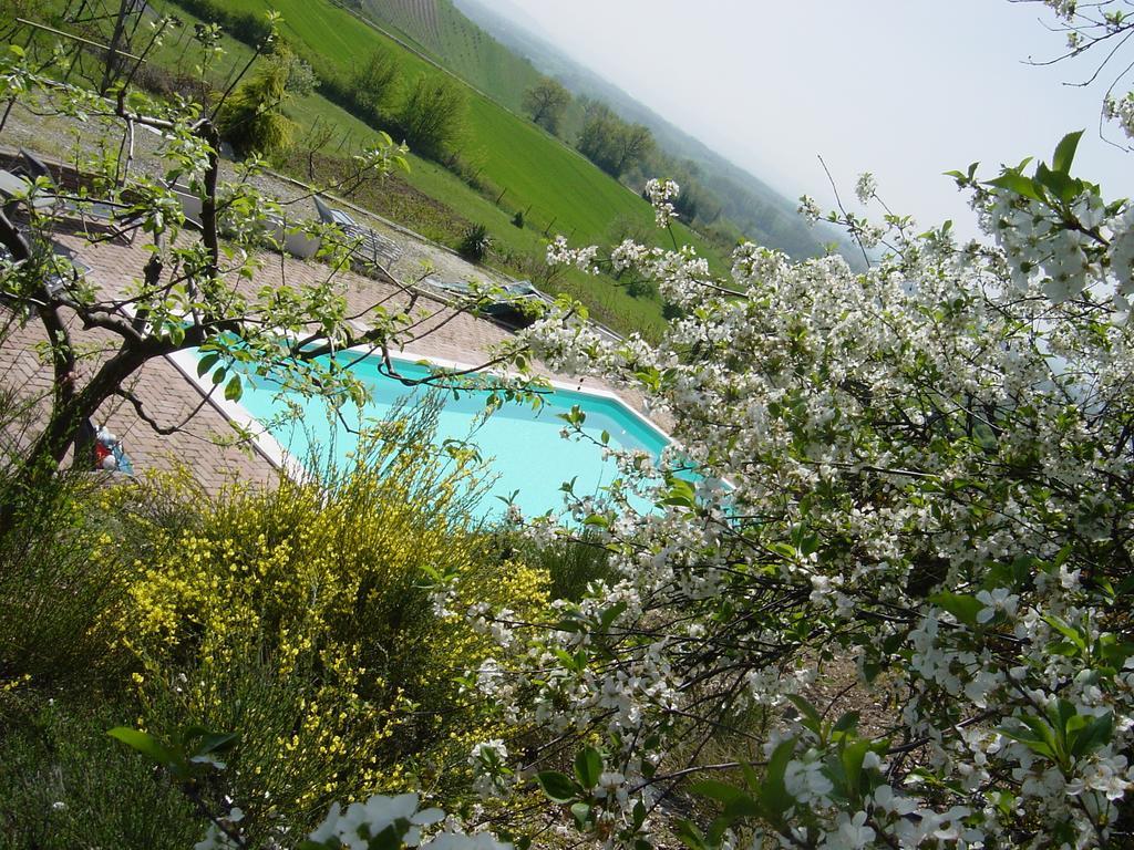 B&B Di Spineto Villaromagnano Екстериор снимка